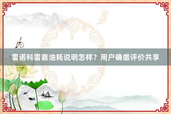 雷诺科雷嘉油耗说明怎样？用户确凿评价共享