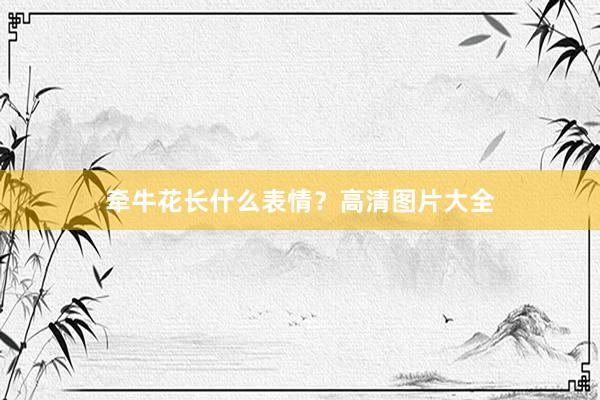 牵牛花长什么表情？高清图片大全